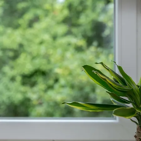 Lucia-private Parking